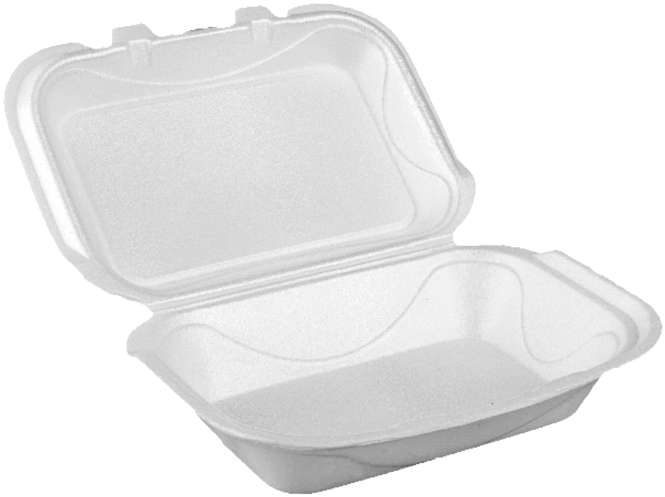 24 NO LARGE BIRYANI BOX